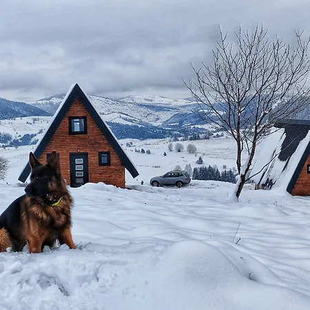 Tatil Evi Carobna Jutra Zlatara 1
