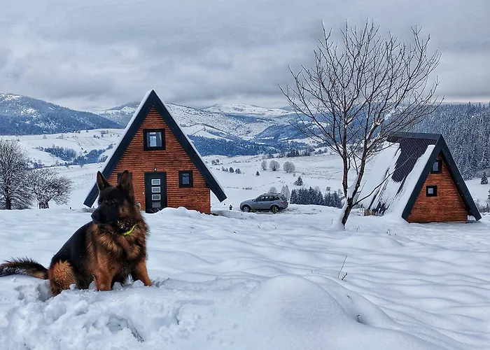 度假居 Carobna Jutra Zlatara